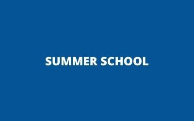 Summer School Carbon and Related Nanomaterials